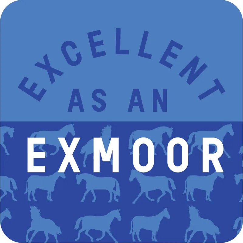 Gubblecote Excellent as an Exmoor Coaster